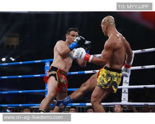 一龙与内山政人巅峰对决谁能问鼎武道之巅引发拳迷热议 一龙与内山政人巅峰对决谁能问鼎武道之巅引发拳迷热议